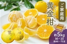 �y���ƒ�p�z�������@��5kg