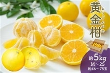 �������@��5kg