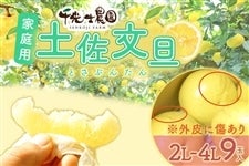 �y�ƒ�p�z����m�_�� �y�����U 2L�`4L(����)9�ʓ� ����80��