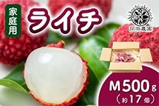 @_@ƒp@C`@M500i17ʁj