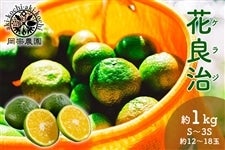 岡宗農園 花良治(ケラジ)青玉 約1kg