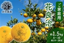 yƒpz @_@ԗǎ(PWj 1.5kg