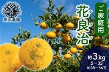 yƒpz @_@ԗǎ(PWj 3kg