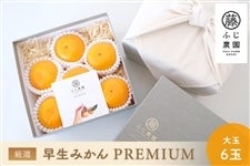 ӂ_ ݂uPREMIUMbv~Av6