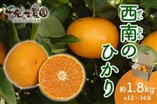 �y���ƒ�p�z����m�_�� ����̂Ђ���