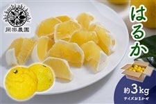 ���@�_���@�͂邩�@��3kg