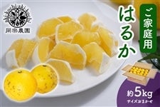 �y���ƒ�p�z���@�_���@�͂邩�@��5kg