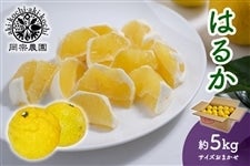 ���@�_���@�͂邩�@��5kg