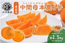 �y���ƒ�p�z���@�_���@���ԕ�{�_�U���@��1.5kg�@2��9������菇������