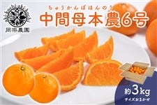  ���@�_���@���ԕ�{�_�U���@��3kg�@2��9������菇������