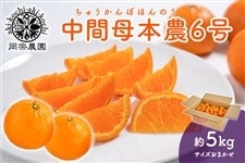 ���@�_���@���ԕ�{�_�U���@��5kg�@2��9������菇������