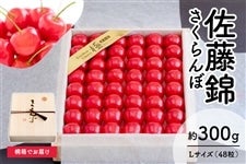 ������ �������ځ@2/16�ȍ~�ɏ�������