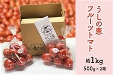 �����̌b�t���[�c�g�}�g ��1kg�i500g×2���j