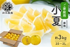 �y���ƒ�p�z���@�_���@�I�n���ā@��3kg