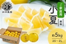 �y���ƒ�p�z���@�_���@�I�n���ā@��5kg