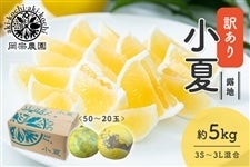 �y�󂠂�z���@�_���@�I�n���ā@��5kg