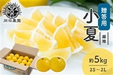 �y�����p�z���@�_���@�I�n���ā@��5kg