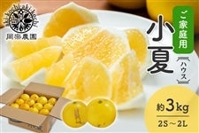 �y���ƒ�p�z���@�_���@�n�E�X���ā@��3kg