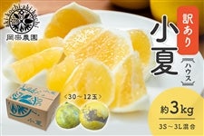 �y�󂠂�z���@�_���@�n�E�X���ā@��3kg