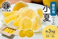 �y�����p�z���@�_���@�n�E�X���ā@��3kg