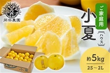 �y���ƒ�p�z���@�_���@�n�E�X���ā@��5kg