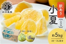 �y�󂠂�z���@�_���@�n�E�X���ā@��5kg