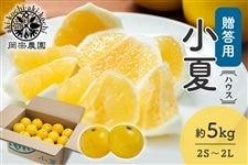 �y�����p�z���@�_���@�n�E�X���ā@��5kg