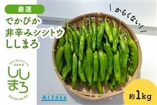 �y���I�zAitosa �ł��҂���h�݃V�V�g�E�����܂�