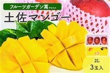 果実の宝石 カワノ農園・太陽マンゴー 柿　マンゴードリアン　2点セット 2Lサイズ（約400g）×2玉 安心 | その他