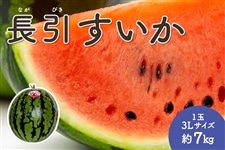 長引すいか 1玉・3Lサイズ（約7kg）: とさのさとアグリコレット|【JA