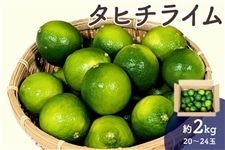 その他くだもの|ライム|【JAタウン】産地直送 通販 お取り寄せ