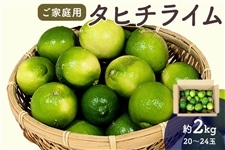 とさのさとアグリコレット/高知の果物|【JAタウン】産地直送 通販 お