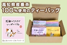 y̓z݂炵@eB[obO(5g×16p)