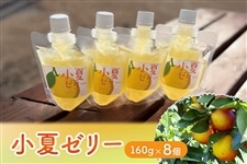 小夏|【JAタウン】産地直送 通販 お取り寄せ