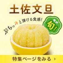 �y�����U���W�y�[�W