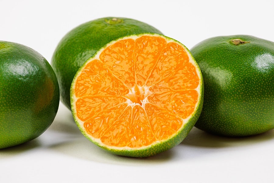 みかん様 リクエスト 5点 まとめ商品 みかん様 リクエスト 5点 まとめ商品 - メルカリ