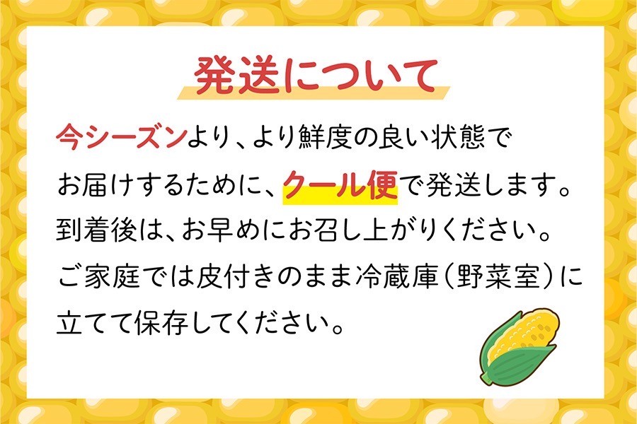 先着400名様にホワイトコーン1本プレゼント】◎朝採り！当日発送！JA 
