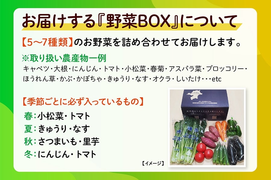 ◎JA福岡市 博多じょうもんさん季節の野菜ボックス ※10月下旬頃〜順次発送予定