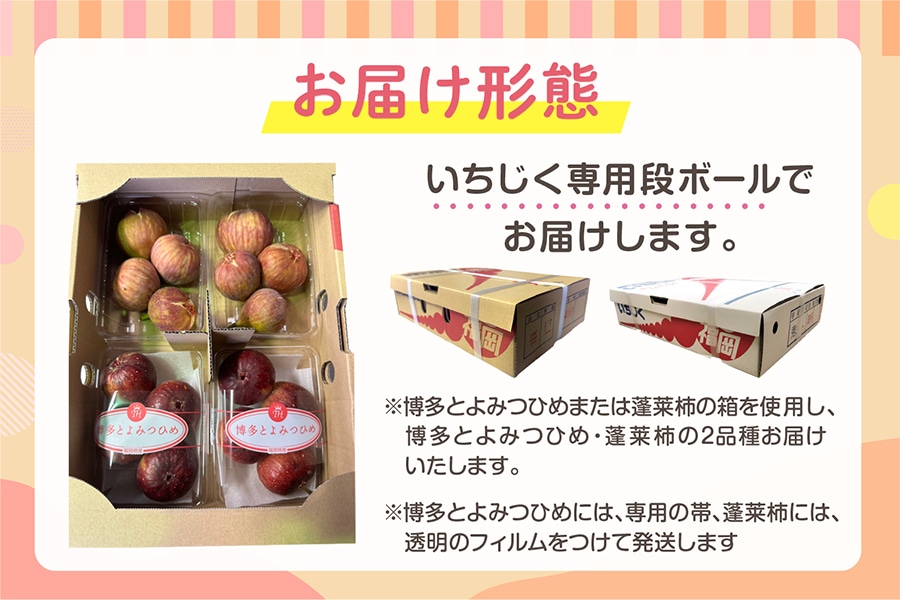 いちじくよくばり食べ比べセット（博多とよみつひめ・蓬莱柿）2品種×各