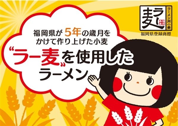 送料無料 メール便 カレーうどん 選べる3食セット 名古屋コーチン   カレー味噌煮込みうどん レトルト カレーうどんの素 カレーソース オリエンタル