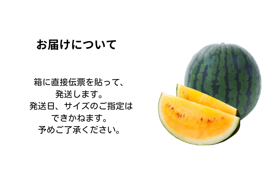 24時間以内に売れなければ300円！スイカ大✨手作り額付き作品　「タマの休日」 若松潮風プレミアム アムール☆秀3L～2L(約8㎏～7㎏）1玉☆(大玉黄色
