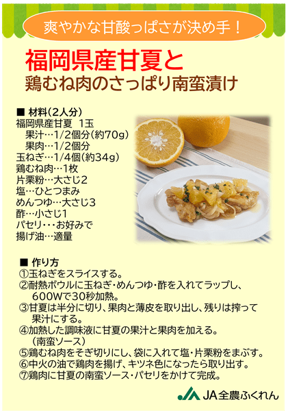 【お試し】◎JA糸島 甘夏 約3s ※4月下旬〜順次出荷予定