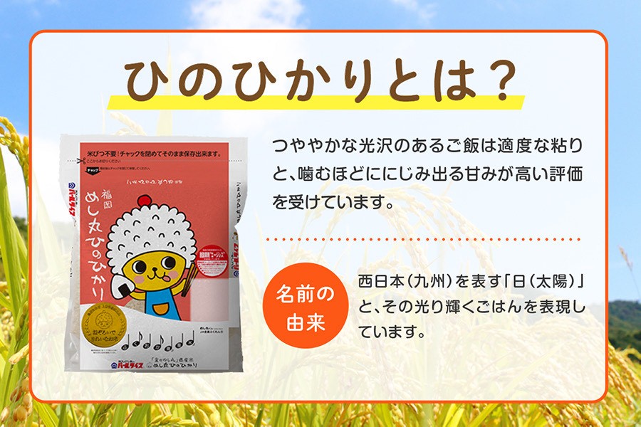 金のめし丸」県産米 めし丸ひのひかり 5kg （令和7年産 福岡県産米
