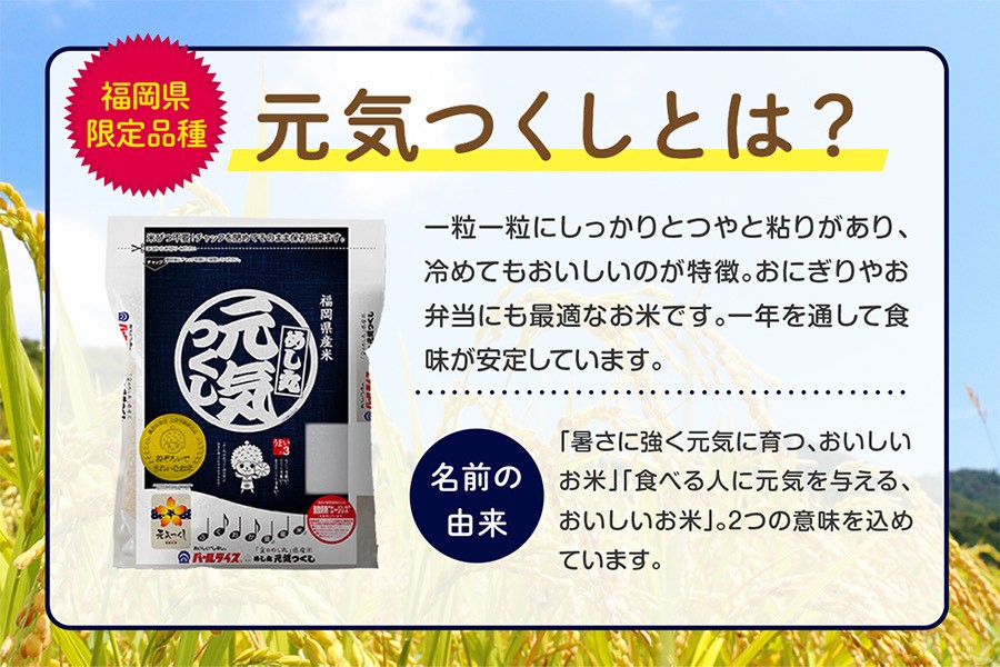 無洗米】「金のめし丸」県産米 めし丸 元気つくし 5kg（令和7年産