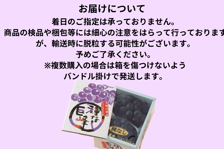 お中元】巨峰（種なし） 約800g（化粧箱） ◎JAふくおか八女 ※7月上旬