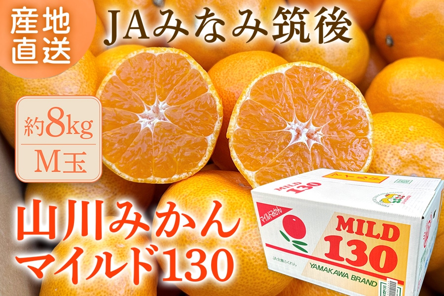 お歳暮】《S玉 約4㎏》山川みかん『マイルド130』※12月上旬～中旬順次