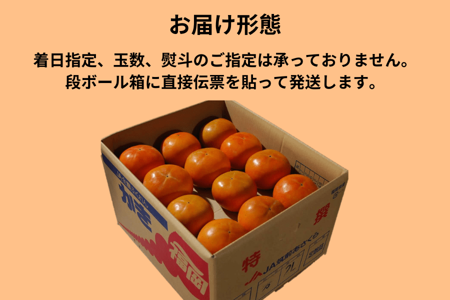 お歳暮】富有柿 約10㎏(L42玉/2L36玉) ※12月上旬～中旬出荷予定 ◎JA