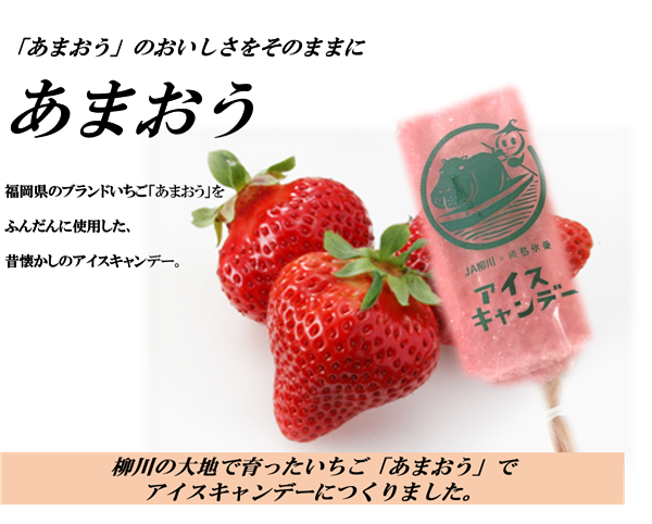 産地直送 通販 お取り寄せ お徳用 水郷柳川育ちのアイスキャンデー40本セット 博多うまかショップ ｊａタウン