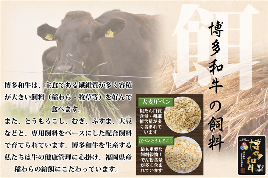 4月2日より引換開始【博多和牛】2部位焼肉食べ比べ800g(肩ロース・赤身)