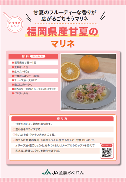 【お試し特別価格】◎JA糸島 甘夏 約10s ※4月下旬〜順次出荷予定